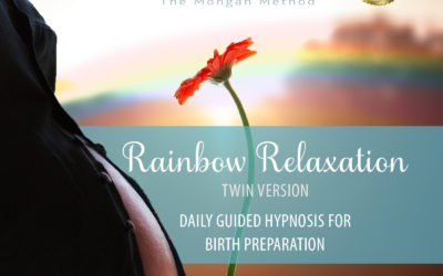 Rainbow Relaxation for Twins Download
