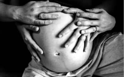 Thursdays | Oct 23 – Nov 20 | Zoom