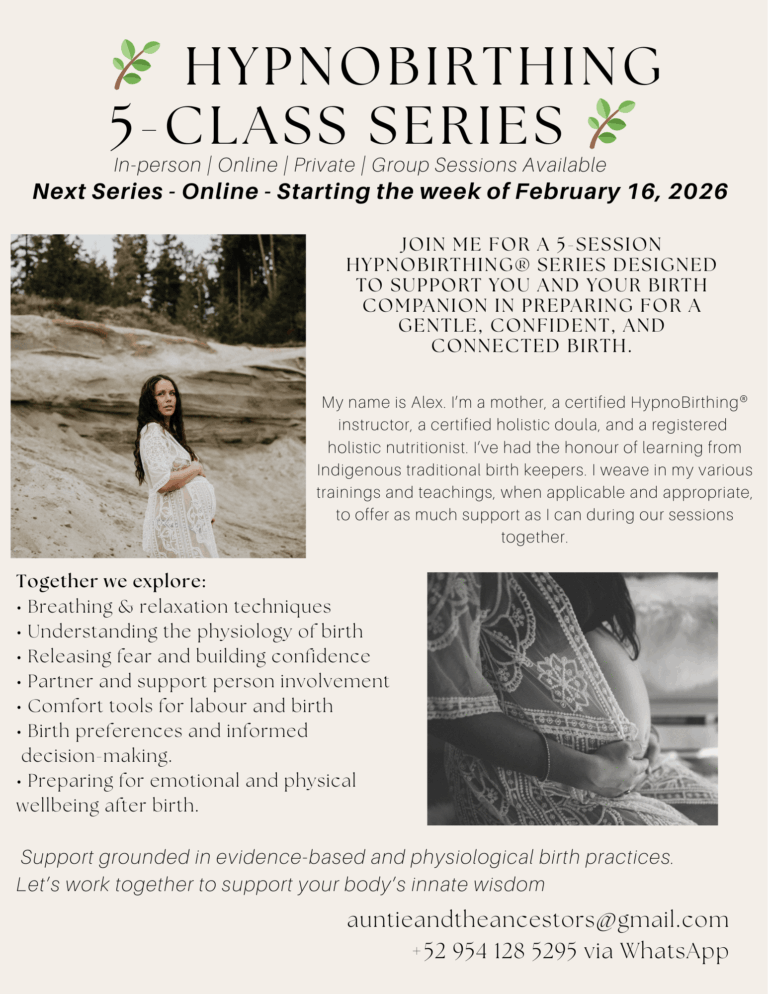 HBflyerNovSeries2025 1 768x994